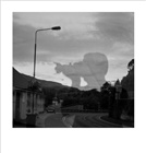 dailyPhoto8